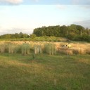 Presentazione del Campo catalogo