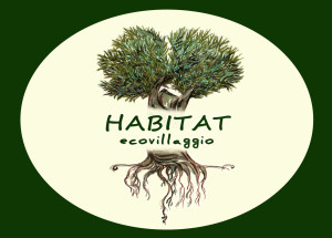 http://ecovillaggiohabitat.wix.com/it