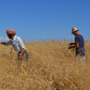 Programma definitivo LCD! 2013